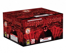WINDA INSURGENT UPRISING - CASE 4/1